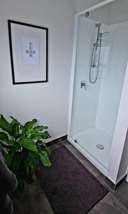 Apartment 4 - Haddin Court - Chic Ny Loft Style Blenheim Extérieur photo